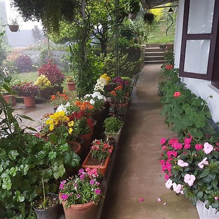 Hotel Rheinberg Town Haus Munnar Exterior foto